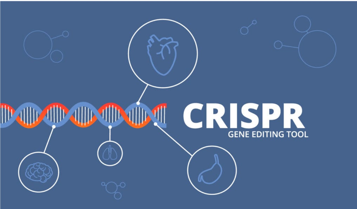 تخصیص بودجه ی  200میلیون دلاری Synthego، جهت تسریع در تحقیقات مراحل اولیه ی داروهای مبتنی بر CRISPR تا مراحل کلینیکال